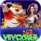 vivo365 Casino Master v3.0.0
